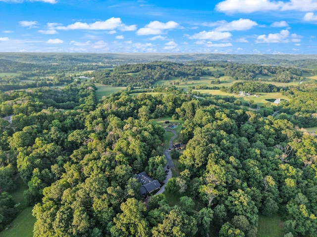 3360 Sweeney Hollow Rd, Franklin, TN 37064 - view of property location featuring a heavily wooded area