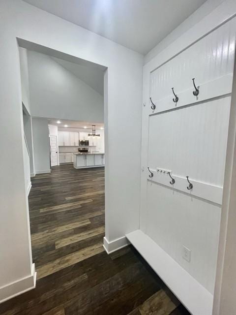 2412 Bullrush Ln, Murfreesboro, TN 37128 - mudroom with dark wood finished floors