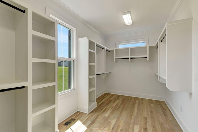 3058 Henley Way, Spring Hill, TN 37174 - spacious closet with wood finished floors