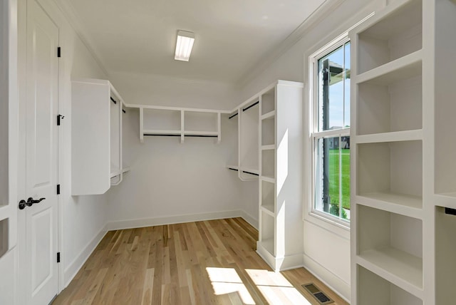 3058 Henley Way, Spring Hill, TN 37174 - spacious closet with light wood-style flooring
