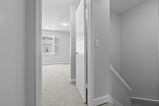 510 Basswood Ave Unit 15, Nashville, TN 37209 - photo 15