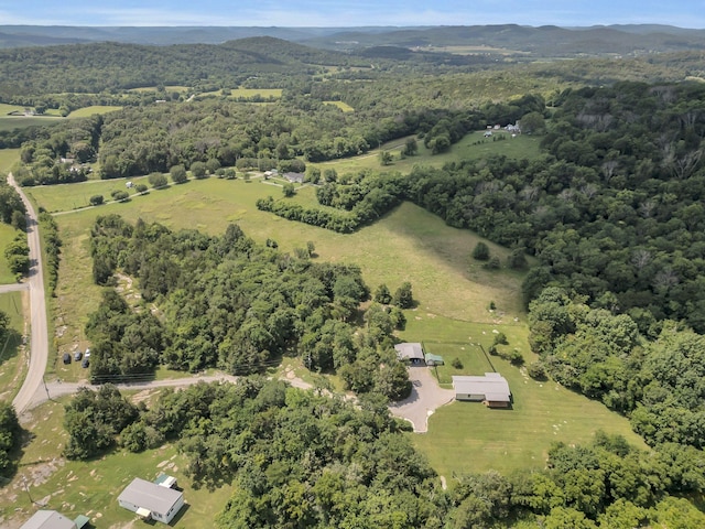 1927 Porterfield Rd, Readyville, TN 37149 - photo 29