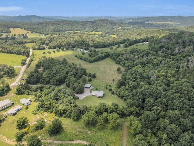1927 Porterfield Rd, Readyville, TN 37149 - photo 32