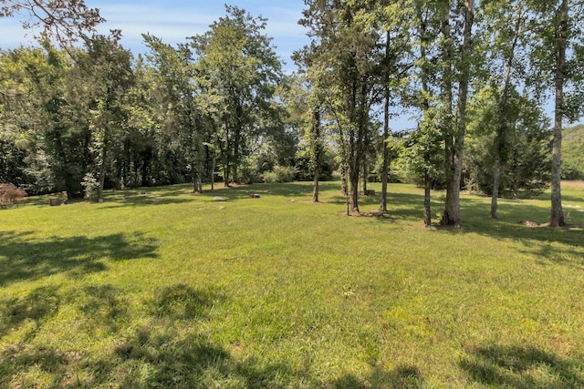 1927 Porterfield Rd, Readyville, TN 37149 - photo 20