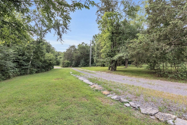 1927 Porterfield Rd, Readyville, TN 37149 - photo 17