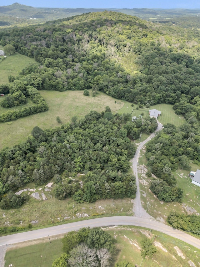1927 Porterfield Rd, Readyville, TN 37149 - photo 27