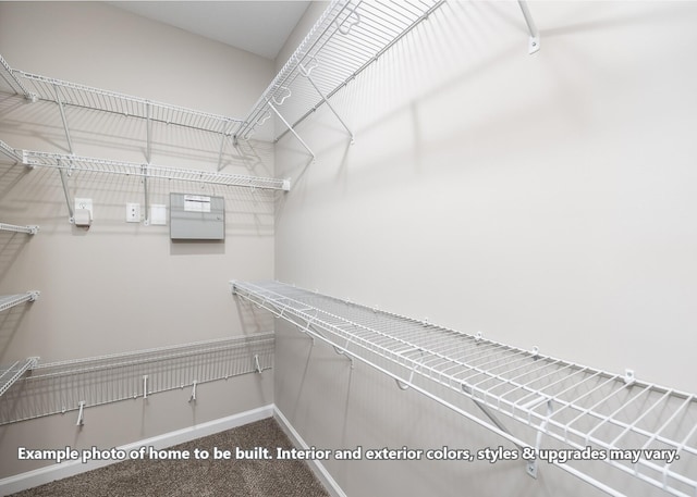914 Vendue Ave, Clarksville, TN 37042 - spacious closet with carpet flooring
