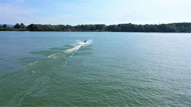 316 Campfire Ct, Winchester, TN 37398 - water view