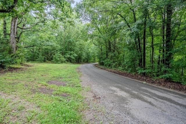 366 Ridge Rd, Westpoint, TN 38486 - view of asphalt street featuring a forest view