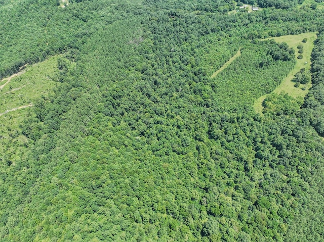 366 Ridge Rd, Westpoint, TN 38486 - aerial view of property and surrounding area with a heavily wooded area