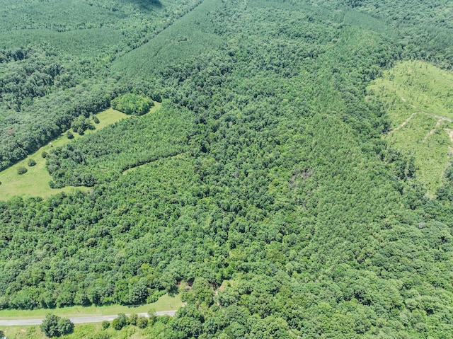 366 Ridge Rd, Westpoint, TN 38486 - view of property location featuring a heavily wooded area