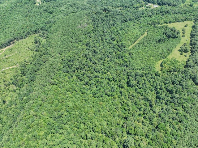 366 Ridge Rd, Westpoint, TN 38486 - view of property location featuring a heavily wooded area