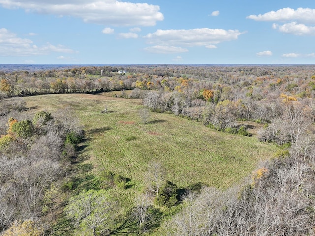 4094 Akin Rdg, Williamsport, TN 38487 - photo 6