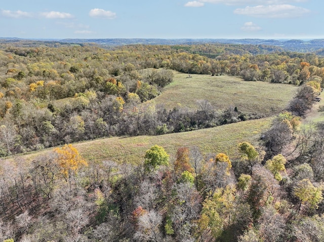 4094 Akin Rdg, Williamsport, TN 38487 - photo 9