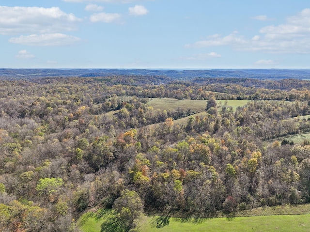 4094 Akin Rdg, Williamsport, TN 38487 - photo 10