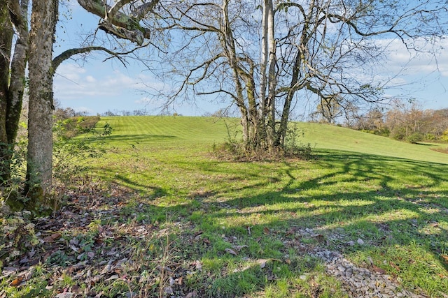 4094 Akin Rdg, Williamsport, TN 38487 - photo 3