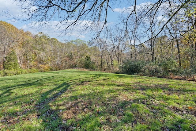 4094 Akin Rdg, Williamsport, TN 38487 - photo 4