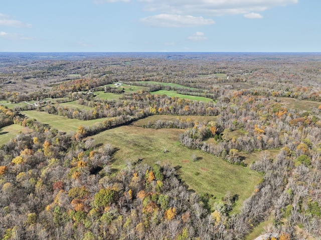 4094 Akin Rdg, Williamsport, TN 38487 - photo 5