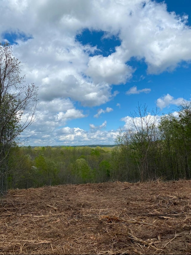 78 Vista Rdg, Stewart, TN 37175 - photo 2