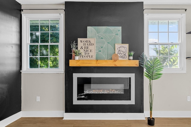 1872 River Rd, Clarksville, TN 37040 - detailed view of a glass covered fireplace and wood finished floors