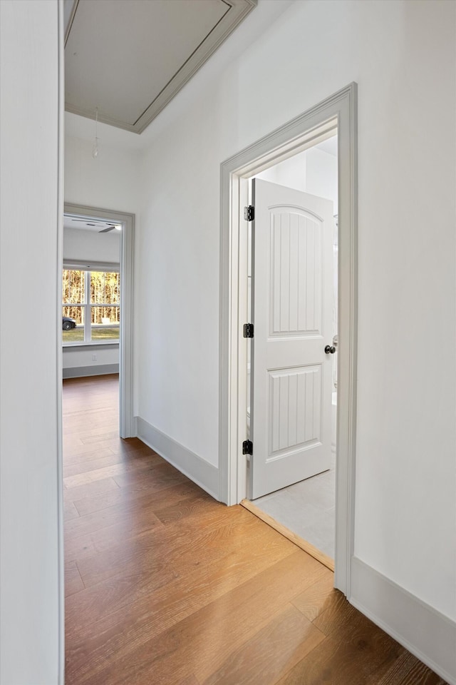 3200 Crockett Pointe, Jasper, TN 37347 - hallway with attic access and wood finished floors