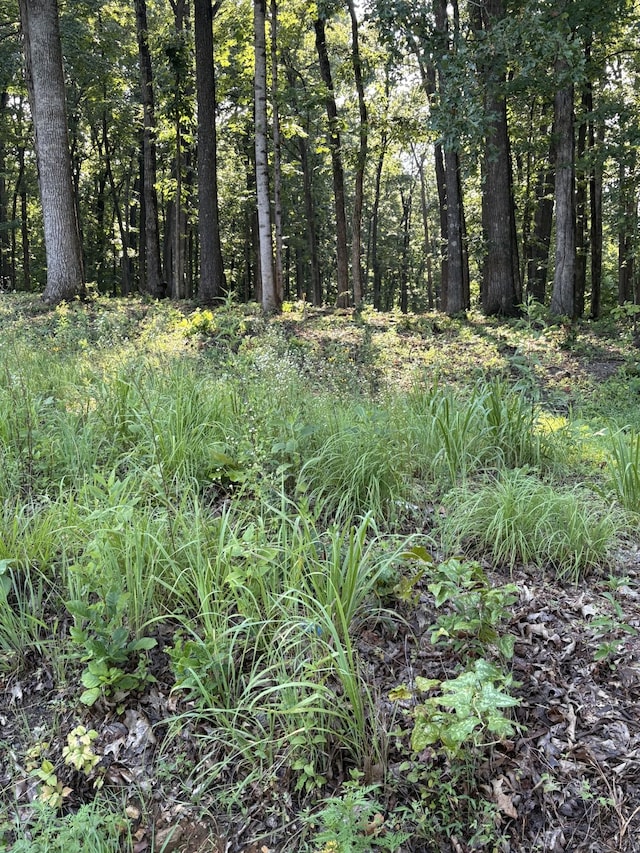 0 Iron Hill Rd, Burns, TN 37029