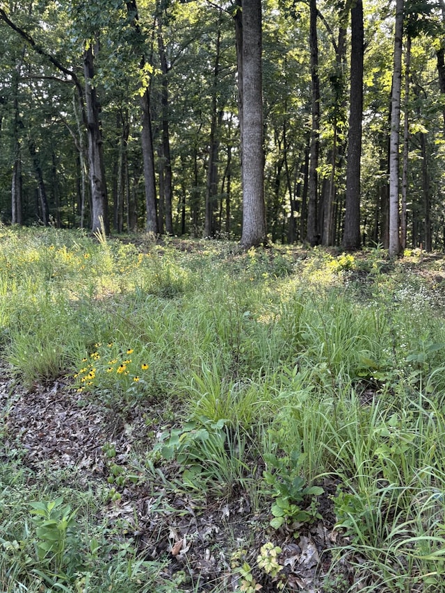 0 Iron Hill Rd, Burns, TN 37029