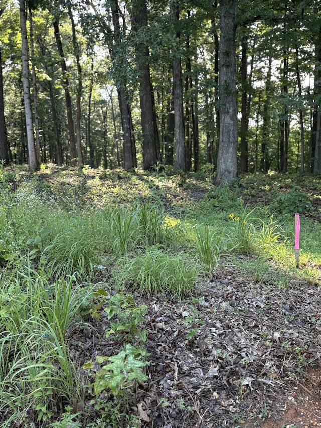 0 Iron Hill Rd, Burns, TN 37029