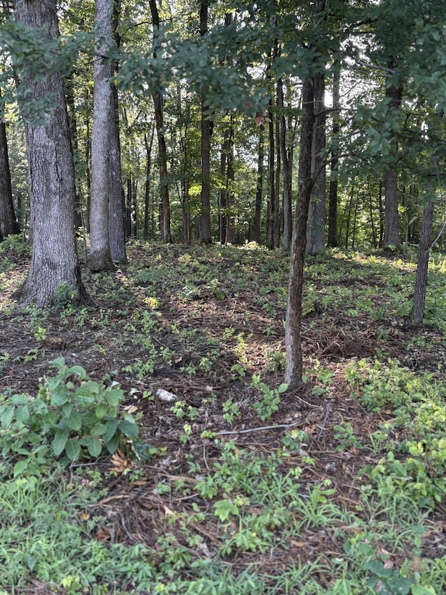 0 Iron Hill Rd, Burns, TN 37029