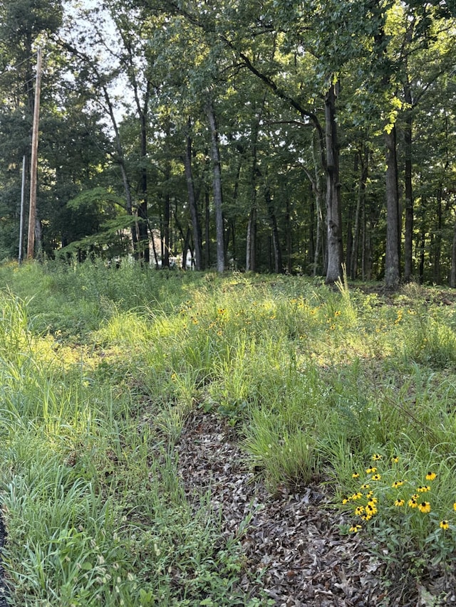 0 Iron Hill Rd, Burns, TN 37029