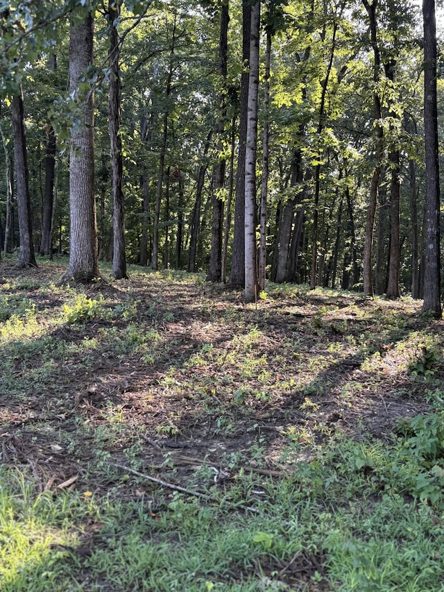 0 Iron Hill Rd, Burns, TN 37029