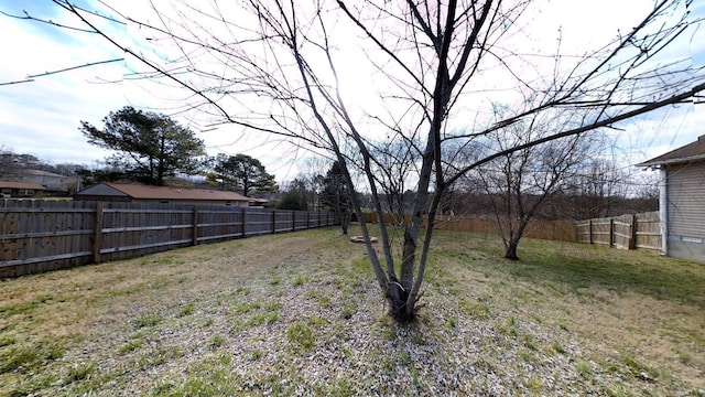 308 Eli Ct, Columbia, TN 38401 - view of fenced backyard