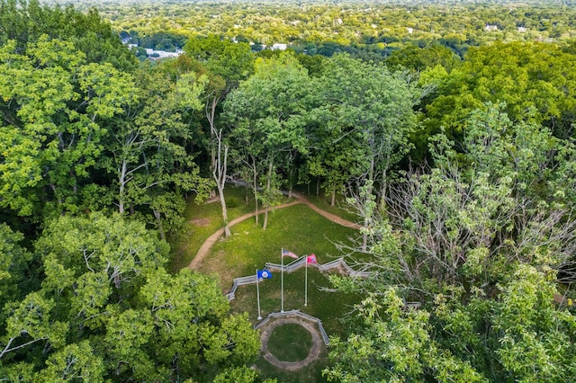 4606 Shys Hill Rd, Nashville, TN 37215 - drone / aerial view of a forest