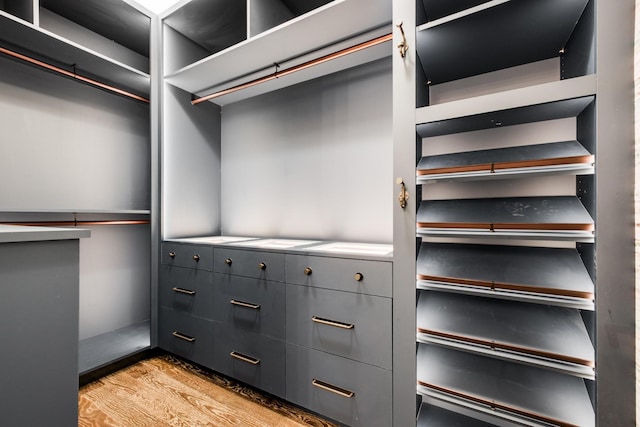 4606 Shys Hill Rd, Nashville, TN 37215 - walk in closet with light wood-style flooring