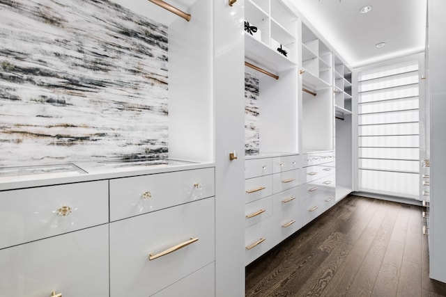 4606 Shys Hill Rd, Nashville, TN 37215 - spacious closet with dark wood-type flooring