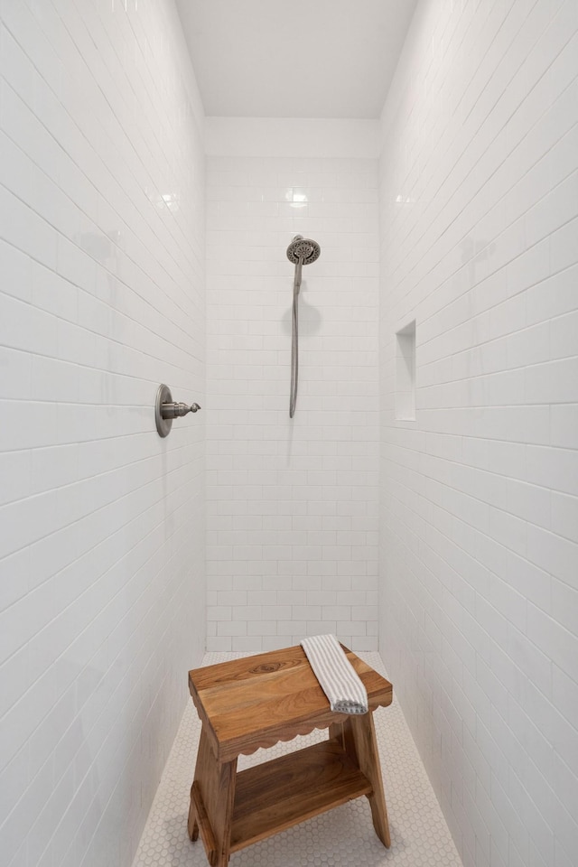 4711 Compassion Ln, Murfreesboro, TN 37128 - bathroom view of tiled shower