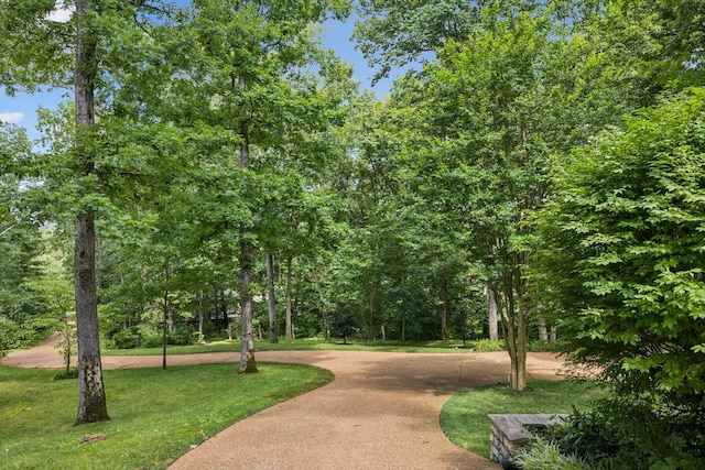2000 Far Fara Way, Brentwood, TN 37027 - surrounding community featuring a yard