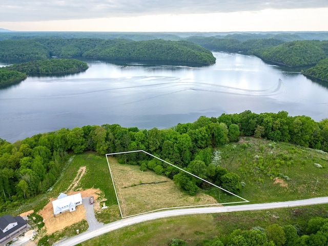 0 Lake Blf, Red, Baxter, TN 38544