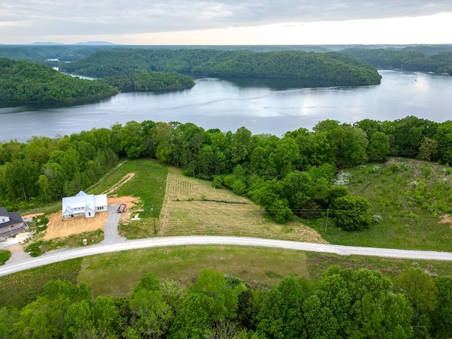 0 Lake Blf, Red, Baxter, TN 38544