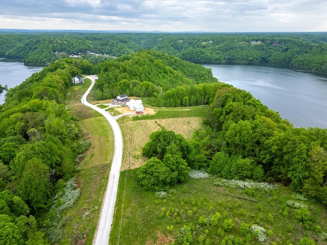 0 Lake Blf, Red, Baxter, TN 38544