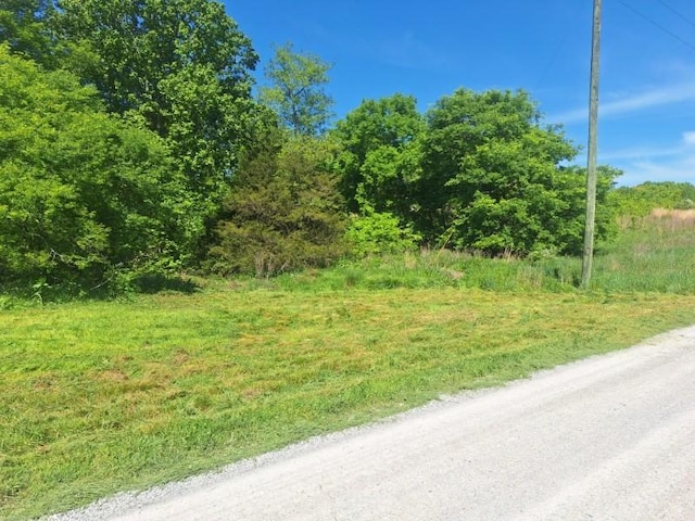 0 Lake Blf, Red, Baxter, TN 38544