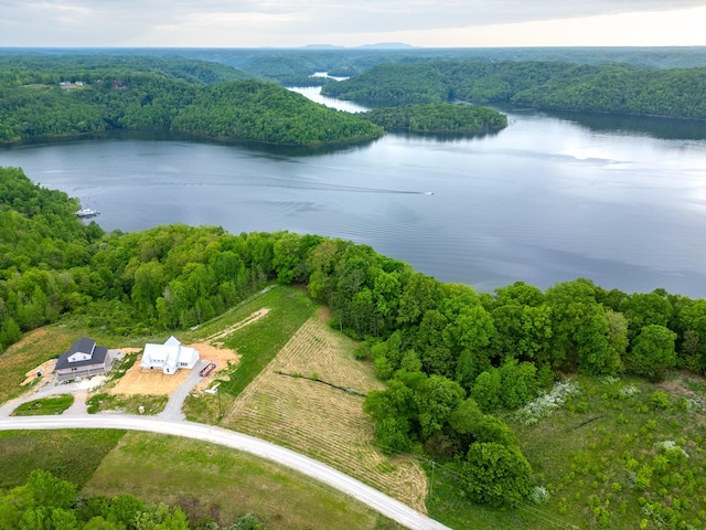 0 Lake Blf, Red, Baxter, TN 38544
