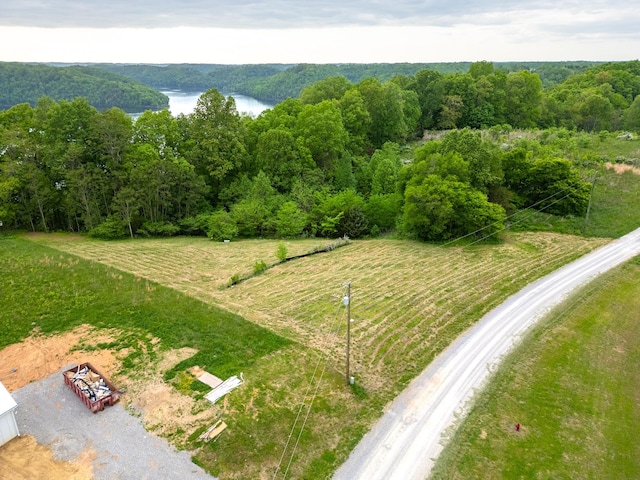 0 Lake Blf, Red, Baxter, TN 38544