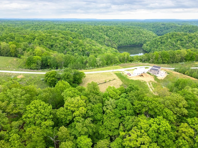 0 Lake Blf, Red, Baxter, TN 38544