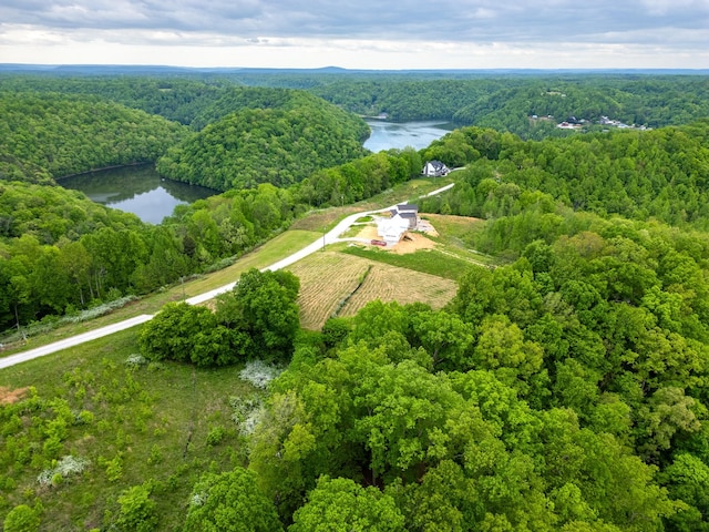 0 Lake Blf, Red, Baxter, TN 38544