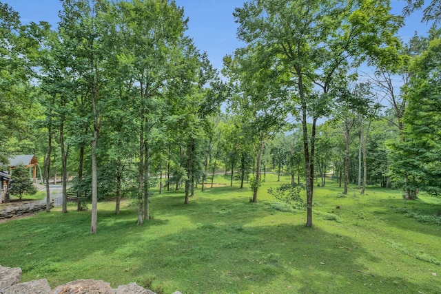 3120 Boxley View Ln, Franklin, TN 37064 - view of grassy yard