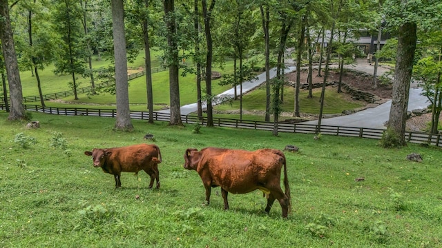 3120 Boxley View Ln, Franklin, TN 37064 - surrounding community with a view of countryside
