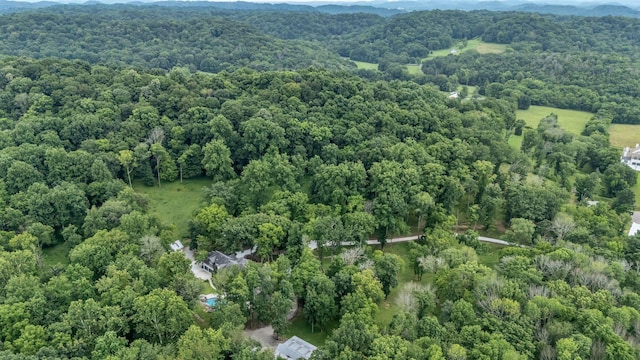 3120 Boxley View Ln, Franklin, TN 37064 - aerial view of property's location with a forest