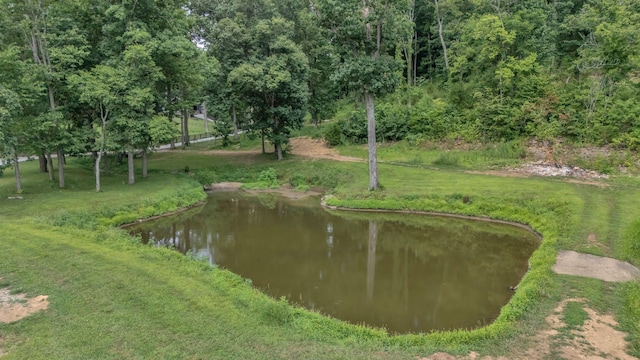 3120 Boxley View Ln, Franklin, TN 37064 - view of home's community with a water view and a yard