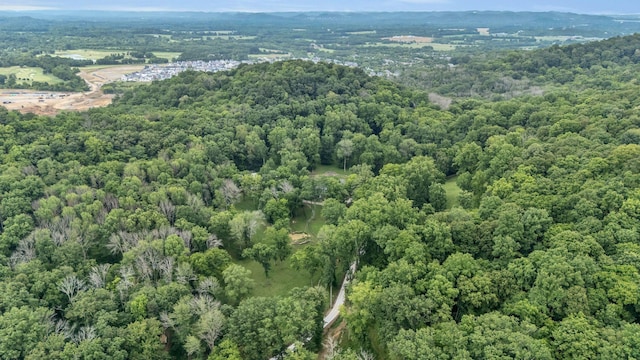 3120 Boxley View Ln, Franklin, TN 37064 - view of property location featuring a forest